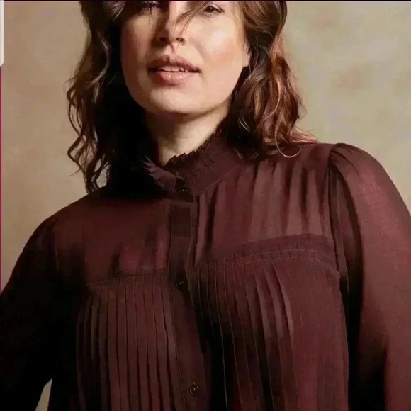 Banana Republic Chiffon Pleated Blouse - Picture 5 of 12